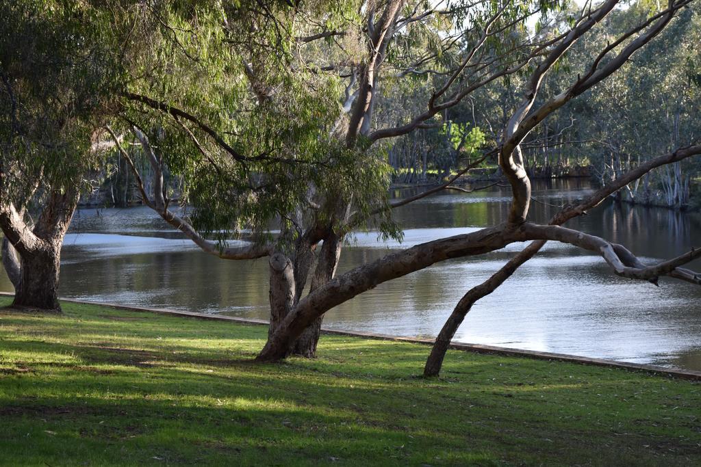 Bushy Lake Chalets Margaret River Exterior photo