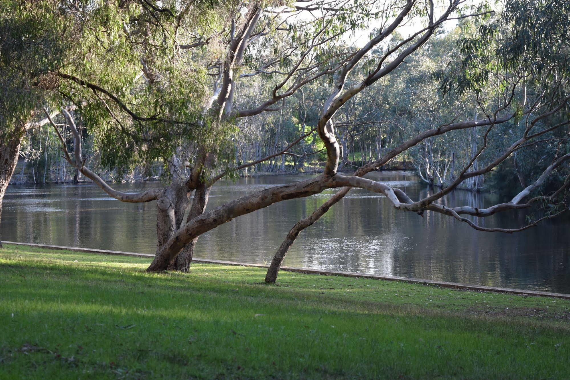 Bushy Lake Chalets Margaret River Exterior photo